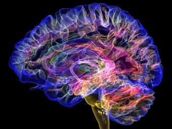 色呦呦欧美大脑植入物有助于严重头部损伤恢复